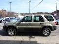 2005 Gold Ash Metallic Ford Escape XLS 4WD  photo #6