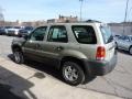 Gold Ash Metallic - Escape XLS 4WD Photo No. 7
