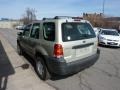 2005 Gold Ash Metallic Ford Escape XLS 4WD  photo #8