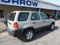 Gold Ash Metallic - Escape XLS 4WD Photo No. 10