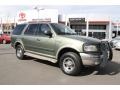 Estate Green Metallic - Expedition Eddie Bauer 4x4 Photo No. 1