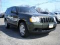 Jeep Green Metallic - Grand Cherokee Laredo 4x4 Photo No. 3