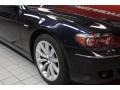 2008 Monaco Blue Metallic BMW 7 Series 750Li Sedan  photo #17