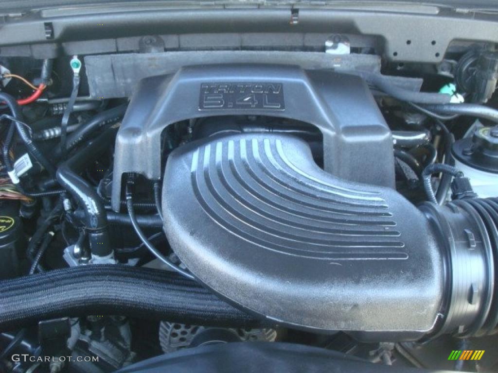2002 Ford F150 FX4 Regular Cab 4x4 5.4 Liter SOHC 16V Triton V8 Engine Photo #46215176