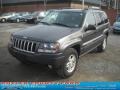 Graphite Metallic - Grand Cherokee Laredo 4x4 Photo No. 18