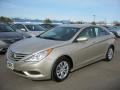 Camel Pearl - Sonata GLS Photo No. 1