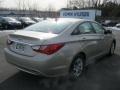 Camel Pearl - Sonata GLS Photo No. 2