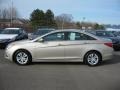 Camel Pearl - Sonata GLS Photo No. 13