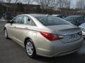 Camel Pearl - Sonata GLS Photo No. 14