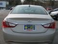 Camel Pearl - Sonata GLS Photo No. 15