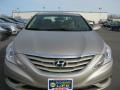 Camel Pearl - Sonata GLS Photo No. 17