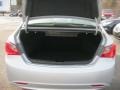 Radiant Silver - Sonata GLS Photo No. 6