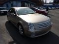 2005 Sand Storm Cadillac STS V8  photo #7