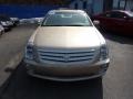 2005 Sand Storm Cadillac STS V8  photo #8