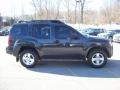 Granite Metallic - Xterra X 4x4 Photo No. 22