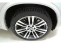 2011 BMW X5 xDrive 50i Wheel and Tire Photo