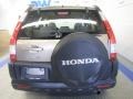 2006 Sahara Sand Metallic Honda CR-V LX 4WD  photo #8