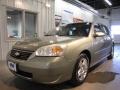 2006 Silver Green Metallic Chevrolet Malibu Maxx LT Wagon  photo #2