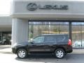 Black Onyx - GX 460 Photo No. 2
