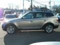 Platinum Bronze Metallic - X3 3.0si Photo No. 8