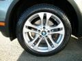 Platinum Bronze Metallic - X3 3.0si Photo No. 33