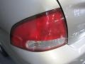 Radium Silver - Sentra GXE Photo No. 13