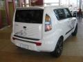 2011 Clear White/Grey Graphics Kia Soul White Tiger Special Edition  photo #6