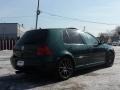 Bright Green Pearl - Golf GLS 1.8T 4 Door Photo No. 3