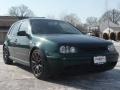 Bright Green Pearl - Golf GLS 1.8T 4 Door Photo No. 15