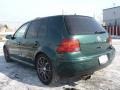 Bright Green Pearl - Golf GLS 1.8T 4 Door Photo No. 17