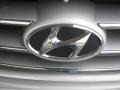Liquid Silver - Elantra GLS Photo No. 24
