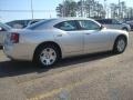 Bright Silver Metallic - Charger SE Photo No. 5