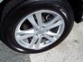 2010 Hyundai Santa Fe Limited Wheel and Tire Photo