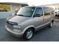 2005 Light Autumnwood Metallic Chevrolet Astro LS Passenger Van  photo #5