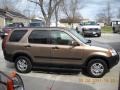 Mojave Mist Metallic - CR-V EX 4WD Photo No. 7