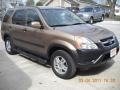 Mojave Mist Metallic - CR-V EX 4WD Photo No. 8