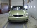 Kiwi Green Metallic - Focus ZX3 SE Coupe Photo No. 2