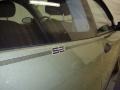 Kiwi Green Metallic - Focus ZX3 SE Coupe Photo No. 9