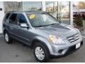 2006 Silver Moss Metallic Honda CR-V SE 4WD  photo #2