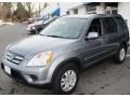 2006 Silver Moss Metallic Honda CR-V SE 4WD  photo #4