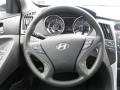 Iridescent Silver Blue Metallic - Sonata GLS Photo No. 4