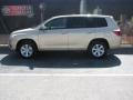 Sandy Beach Metallic - Highlander  Photo No. 1