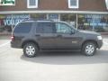 2006 Dark Stone Metallic Ford Explorer XLT 4x4  photo #2