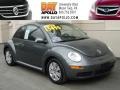 Platinum Grey 2008 Volkswagen New Beetle S Coupe