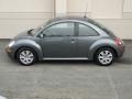 Platinum Grey - New Beetle S Coupe Photo No. 6