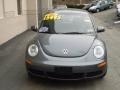 Platinum Grey - New Beetle S Coupe Photo No. 8