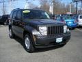 2010 Dark Charcoal Pearl Jeep Liberty Sport 4x4  photo #3