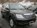 2009 Ebony Black Kia Borrego LX V6 4x4  photo #20