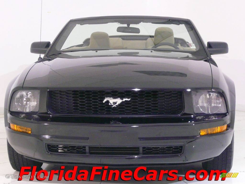 2006 Mustang V6 Premium Convertible - Black / Light Parchment photo #5