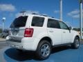 White Suede 2011 Ford Escape Limited 4WD Exterior